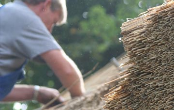 professional Scrub Hill thatchers